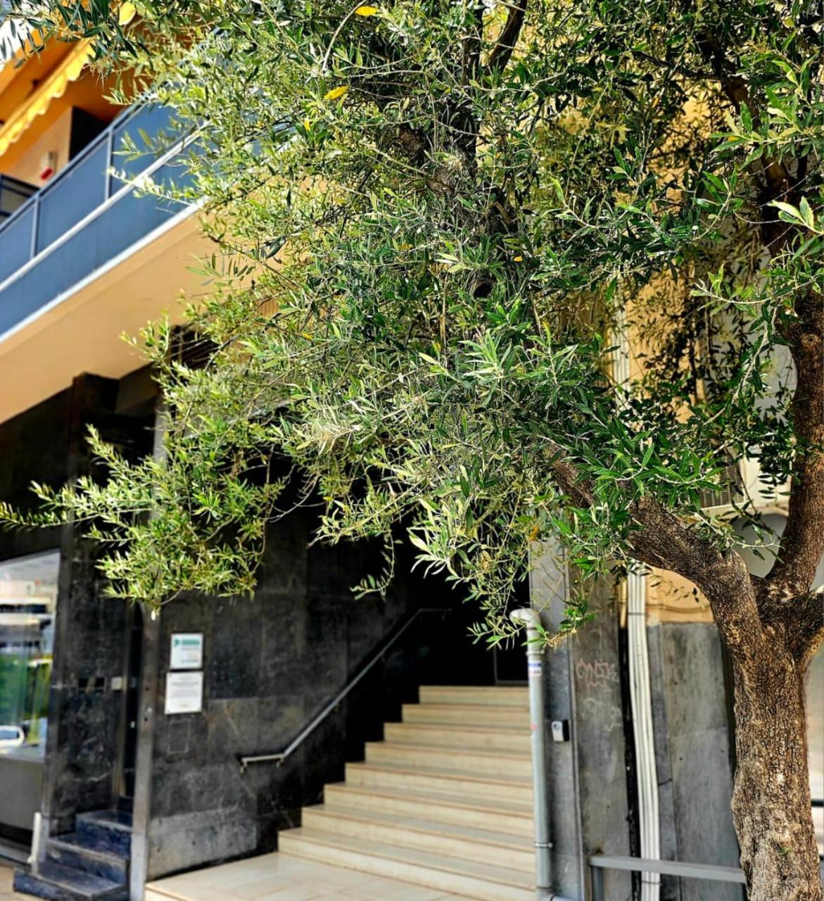 Diocharous Garden Apartment Athens Exterior photo