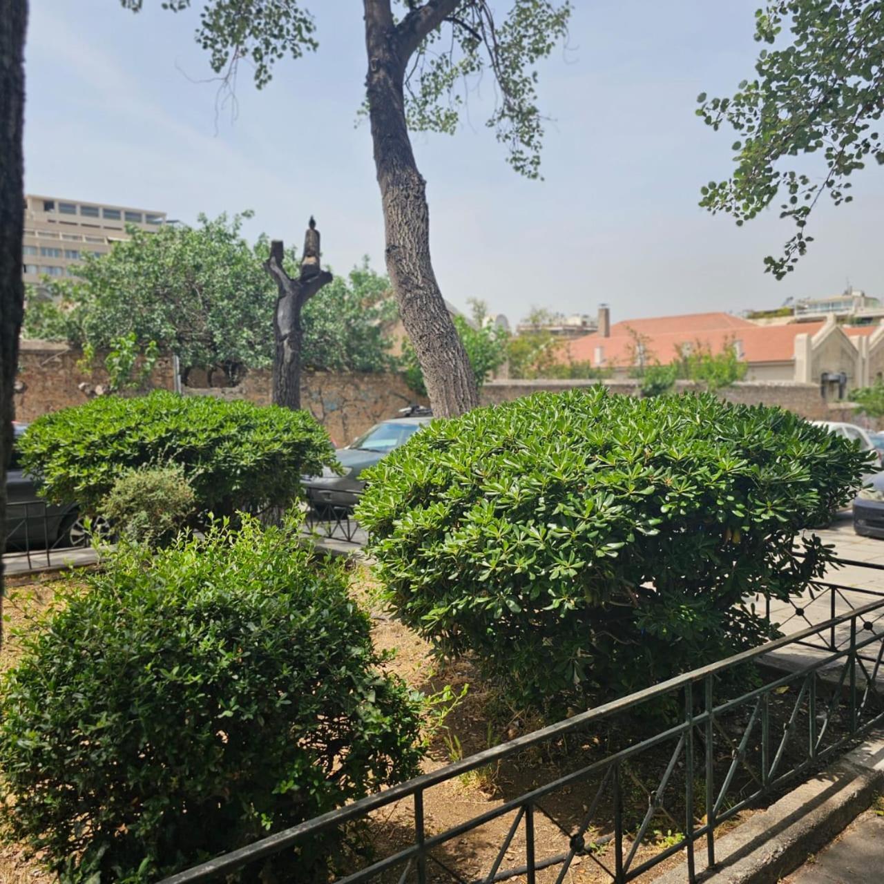 Diocharous Garden Apartment Athens Exterior photo