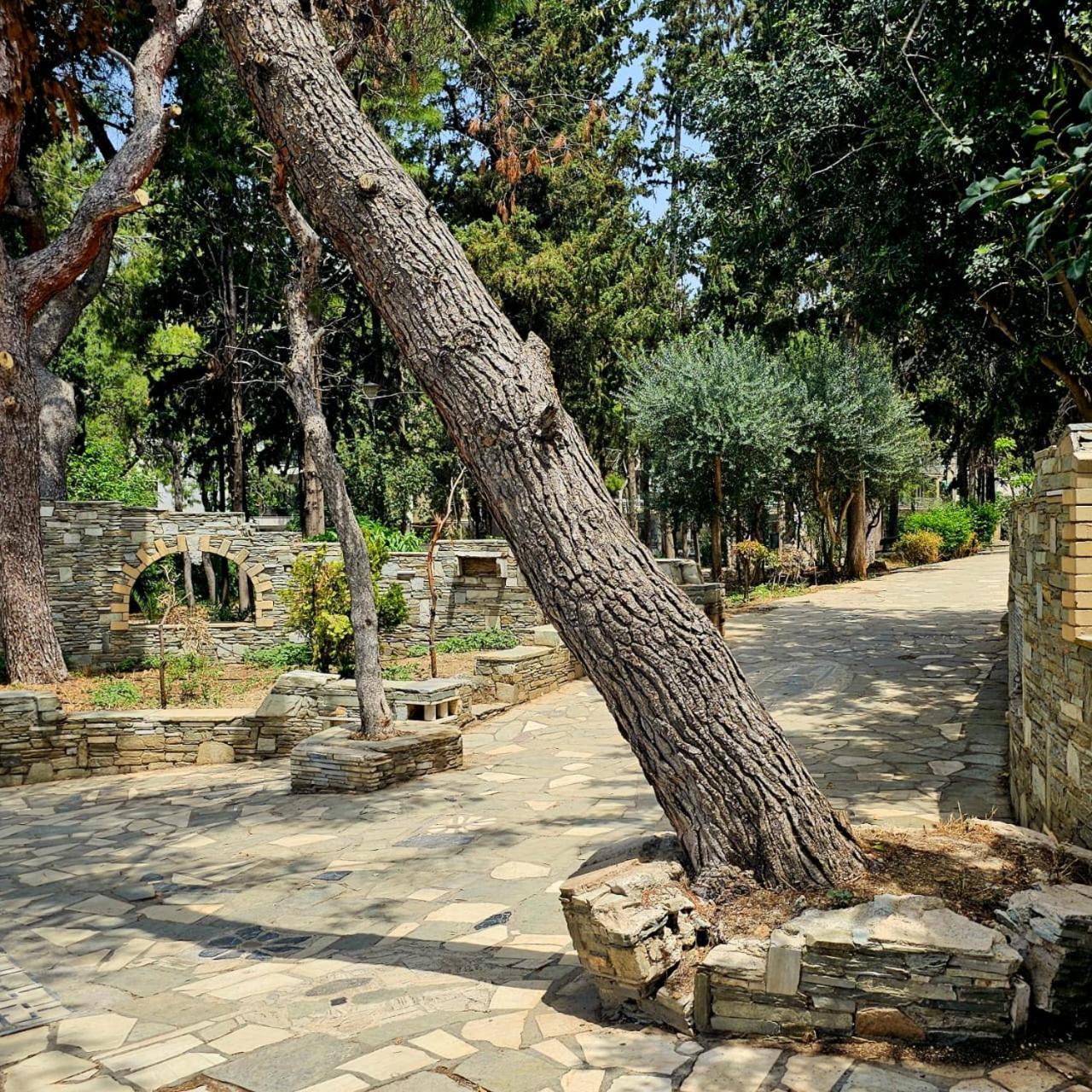 Diocharous Garden Apartment Athens Exterior photo