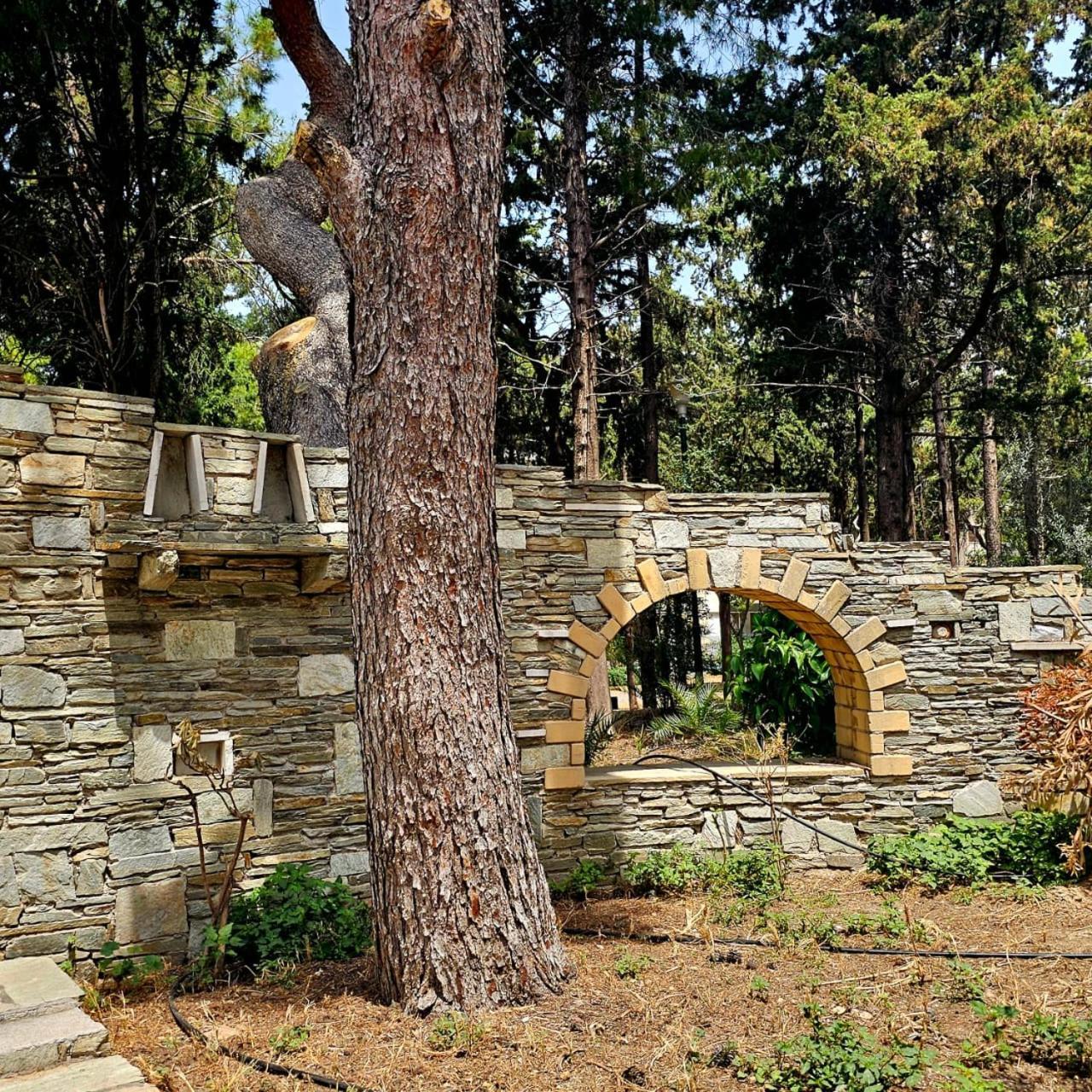 Diocharous Garden Apartment Athens Exterior photo